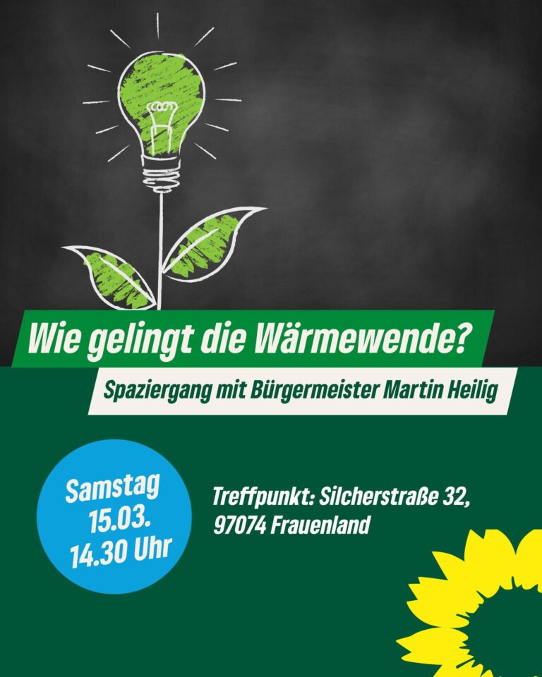 Wie gelingt die Wärmewende?