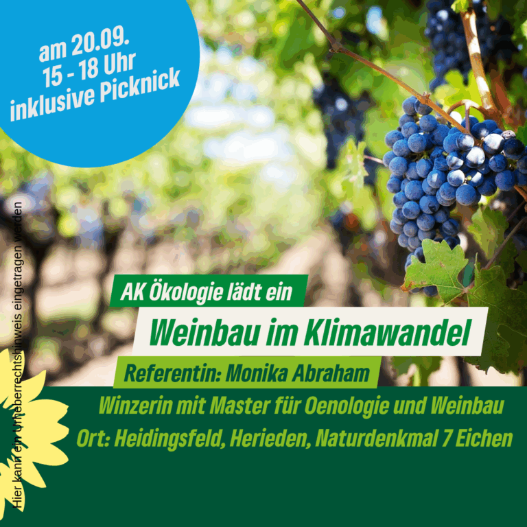 Weinbau im Klimawandel