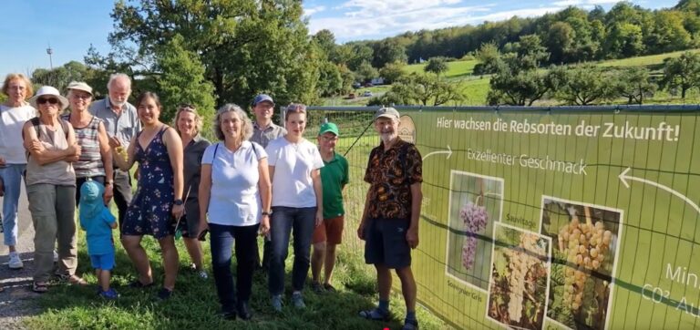 Weinbau im Klimawandel